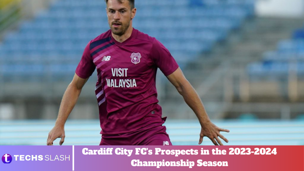 Cardiff City FC's Prospects in the 2023-2024 Championship Season