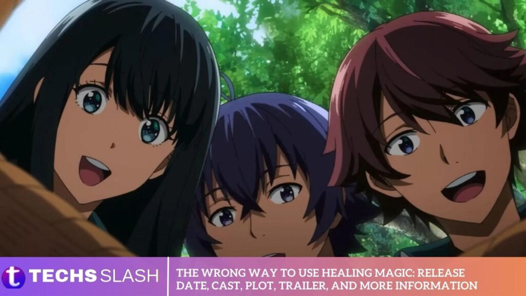 The Wrong Way to Use Healing Magic Release Date, Cast, Plot, Trailer, and More Information