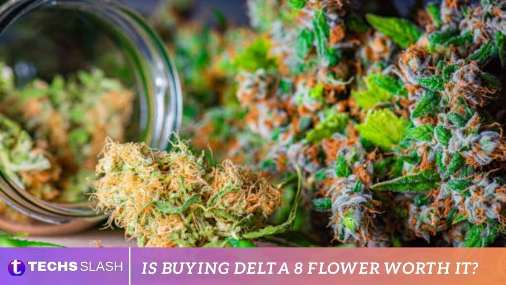 Is Buying Delta 8 Flower Worth It