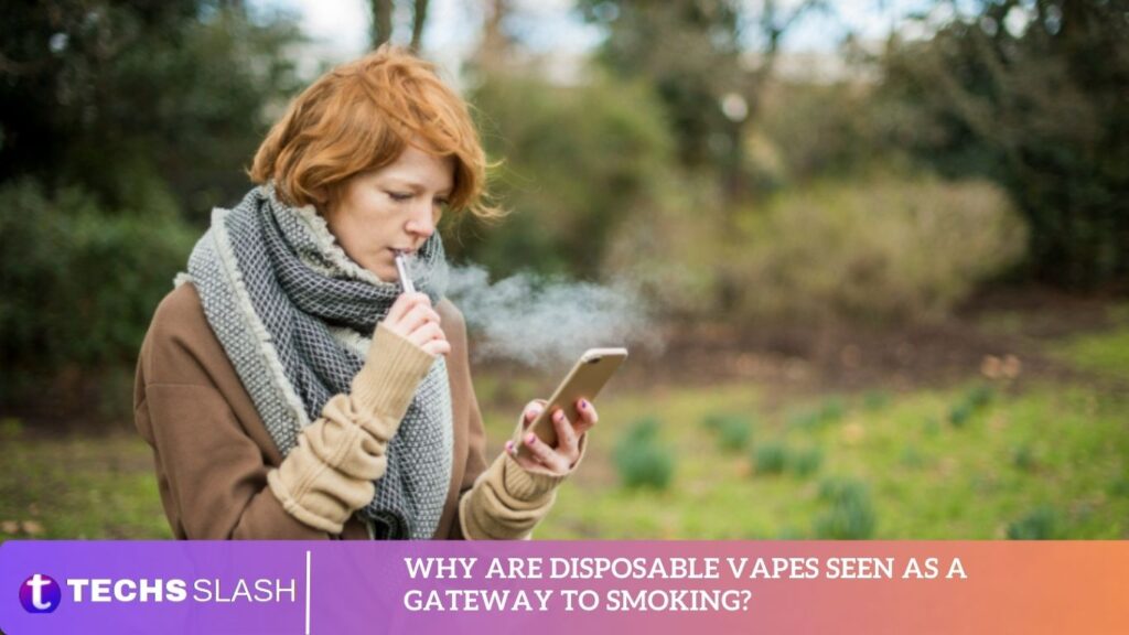 Why Are Disposable Vapes Seen As A Gateway to Smoking