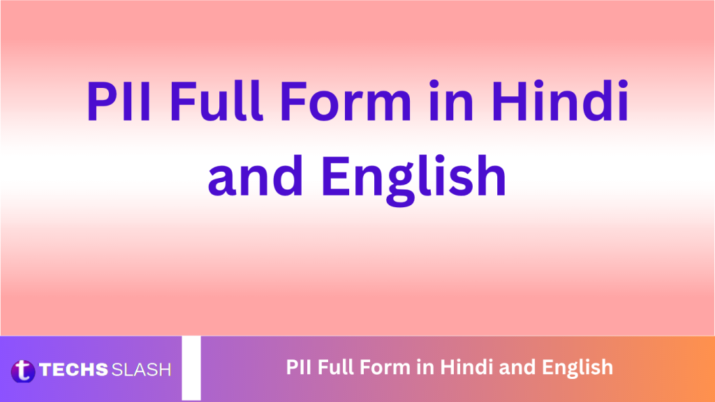 PII Full Form in Hindi and English PII Full Form in Hindi and English